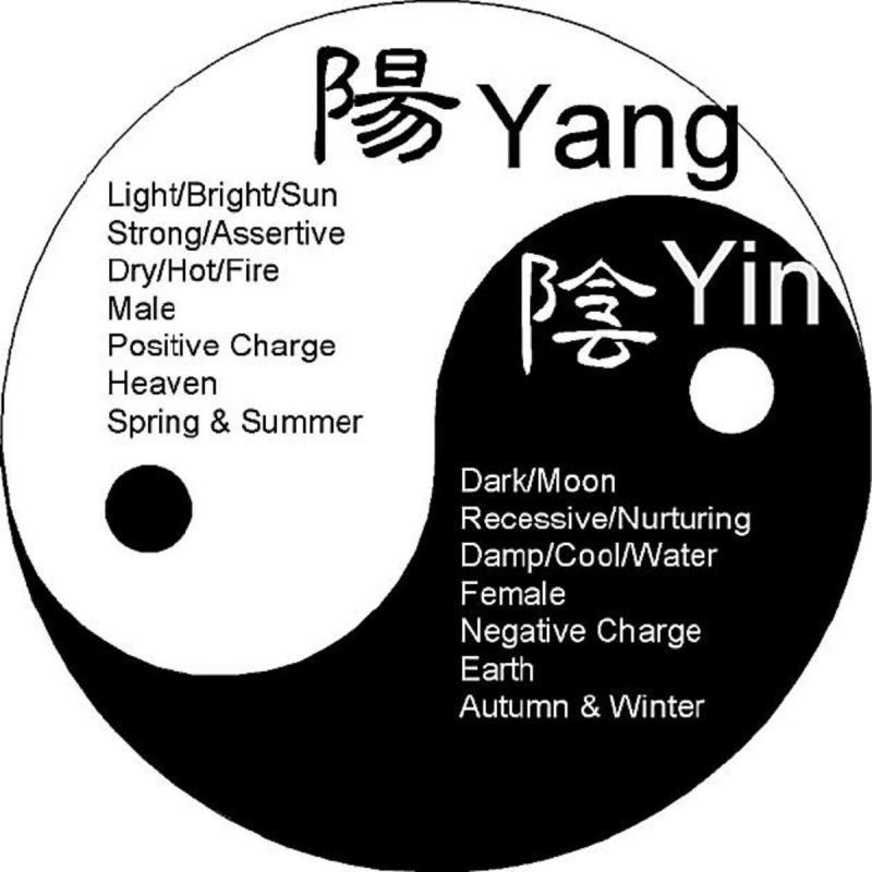 Are Yin & Yang Shoes Still in Style in 2023. The Surprising Comeback of an Iconic Look