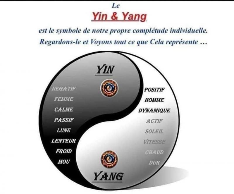 Are Yin & Yang Shoes Still in Style in 2023. The Surprising Comeback of an Iconic Look