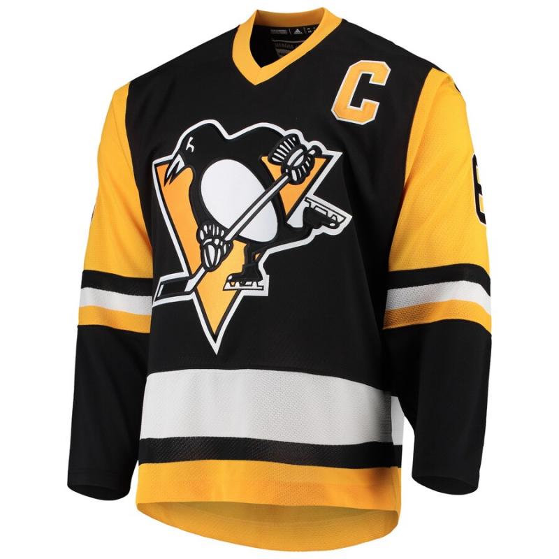 Are You A True Pittsburgh Penguins Fan. Check Out These 15 Facts About Mario Lemieux