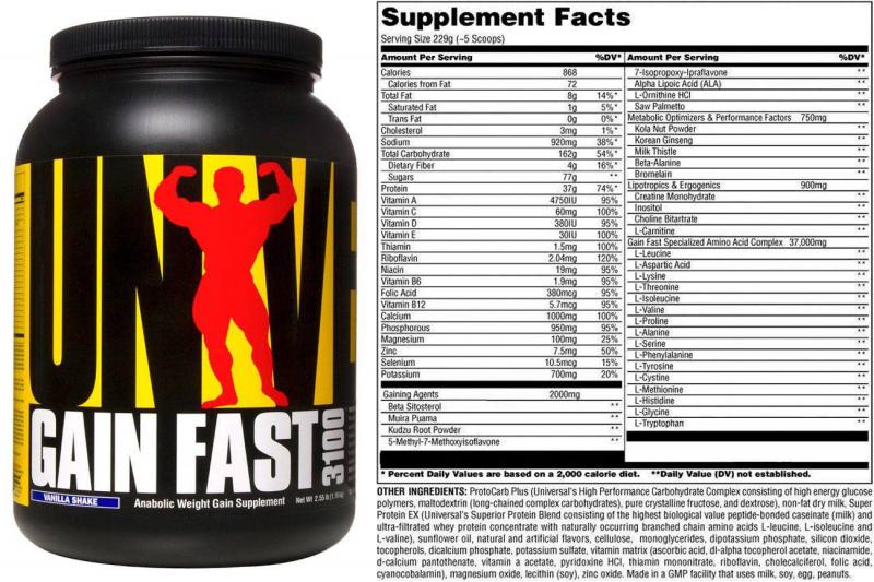Are You Choosing The Best Whey: The Must-Know Facts About GNC Performance 100 Whey Protein