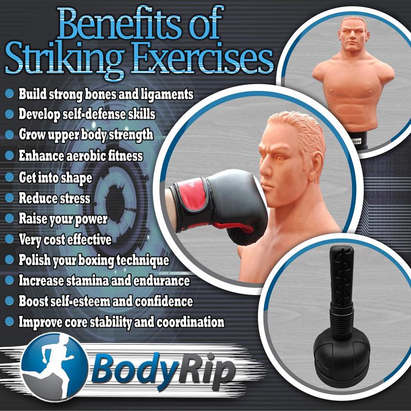Are You Looking For The Best Century Bob XL Punching Bag. Here are 15 Tips To Find The Perfect Bag And Get The Most Out Of Your Workouts