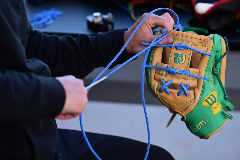 Are You Looking for the Best USA Wilson A2000 Glove. Top 15 Must-Know Tips