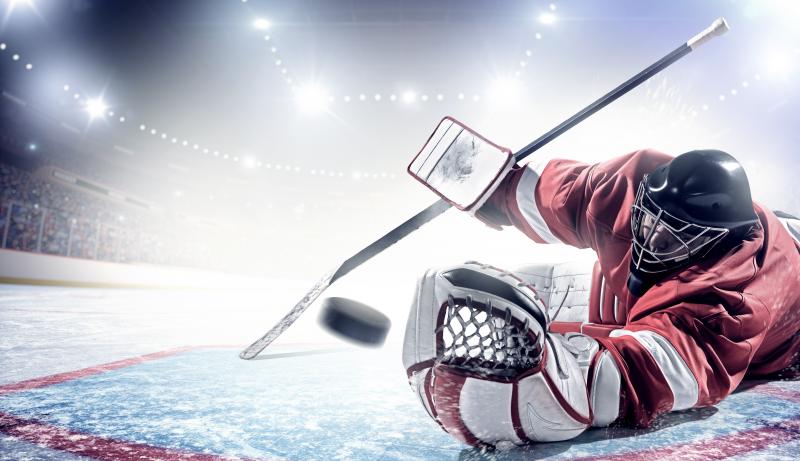 Are You Looking for the Top Warrior Goalie Sticks This Year. : The 15 Best Models for Every Position