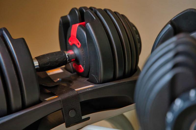 Are You Looking To Build Muscle With Your Bowflex. Here