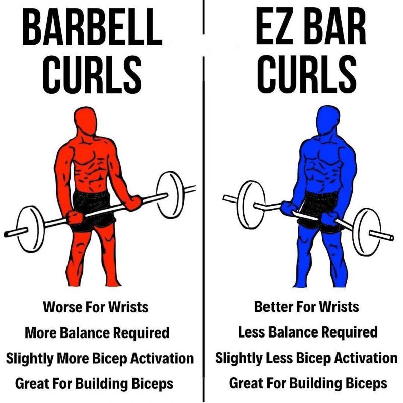 Are You Making These 5 Mistakes With a Fixed Weight Curl Bar. This is How to Curl Like a Champion Today