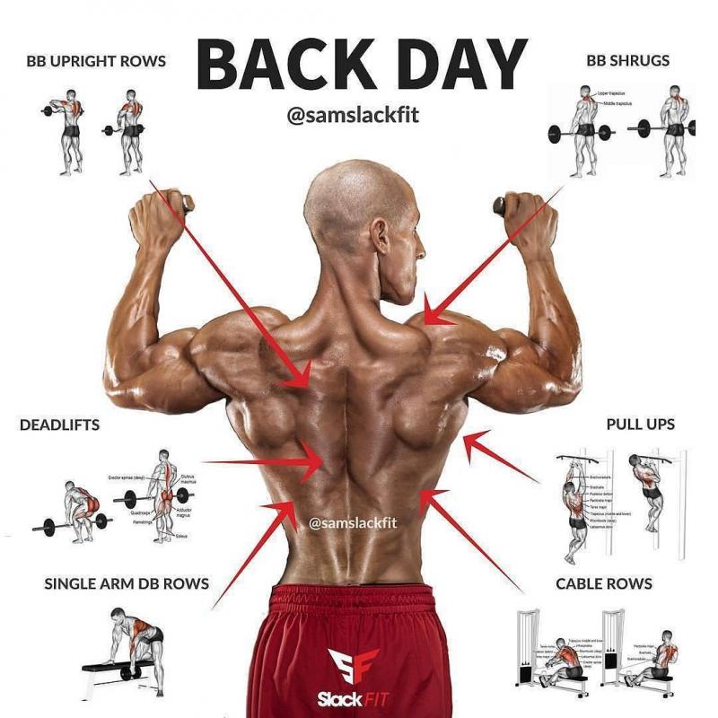 Are You Making These 5 Mistakes With a Fixed Weight Curl Bar. This is How to Curl Like a Champion Today