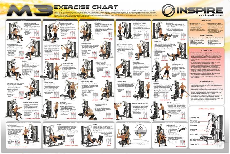 Are You Making These 5 Mistakes With a Fixed Weight Curl Bar. This is How to Curl Like a Champion Today