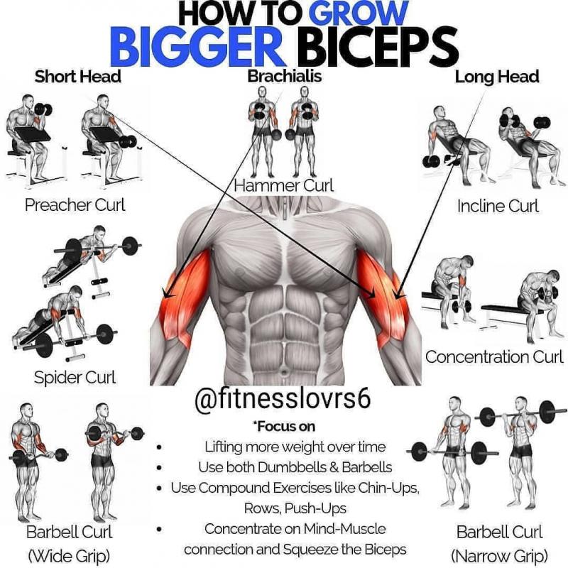 Are You Making These 5 Mistakes With a Fixed Weight Curl Bar. This is How to Curl Like a Champion Today