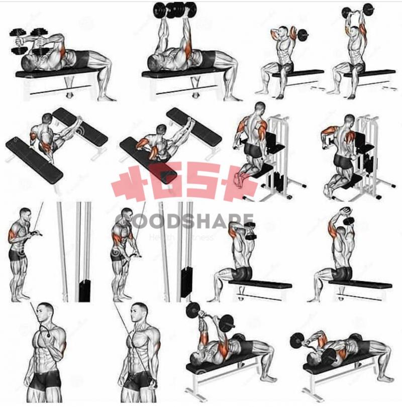 Are You Overwhelmed Trying to Find The Perfect 40 lb Adjustable Dumbbell Set. : Here