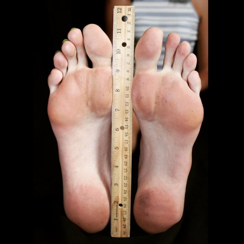 Are You Ready to Shatter Records with Quarter Inch Track Spikes This Season