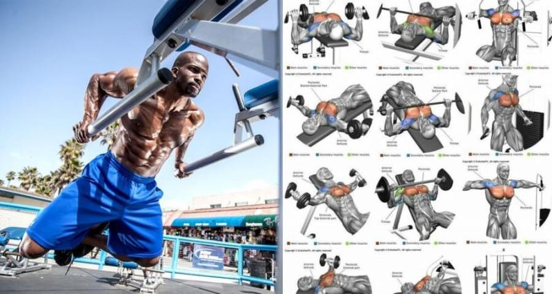 Are You Ready to Take Your Home Workouts up a Notch. Discover the Power of the Harbinger Multi Gym Pro