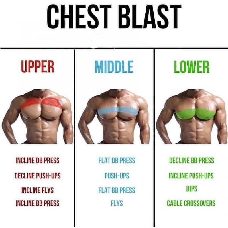 Are You Ready To Upgrade Your Home Workouts. 15 Ways PowerBlock Dumbbells Can Take Your Training To The Next Level