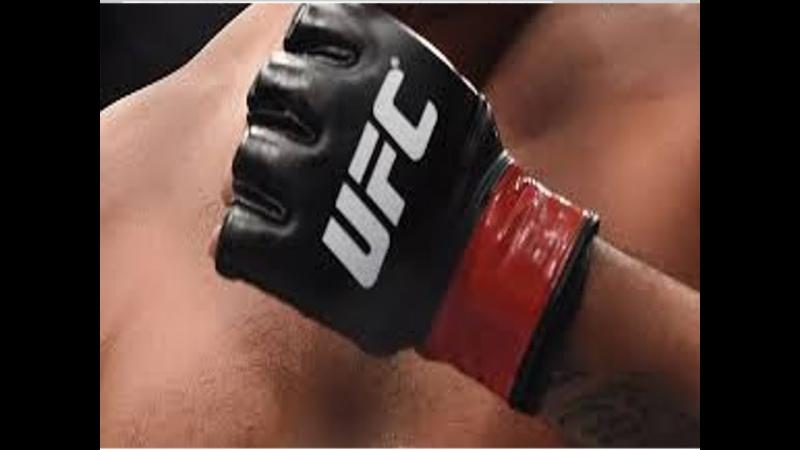Are You Ready to Upgrade Your MMA Gloves This Year. : Discover the Top Venum Gloves for Grappling and Striking