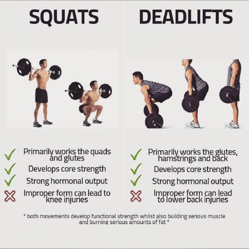 Are You Struggling With Deadlifts and Rows. : Discover the Harbinger Big Grip Lifting Straps That Will Take Your Strength to New Levels