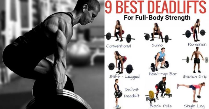 Are You Struggling With Deadlifts and Rows. : Discover the Harbinger Big Grip Lifting Straps That Will Take Your Strength to New Levels