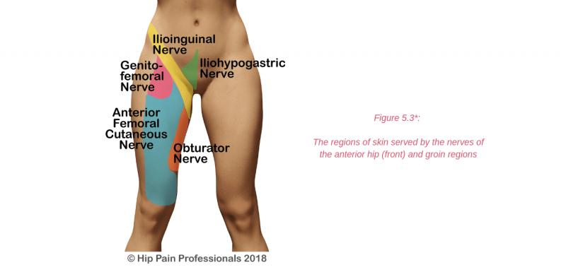 Are You Suffering From Hip Flexor Pain. Try These Compression Shorts For Fast Relief