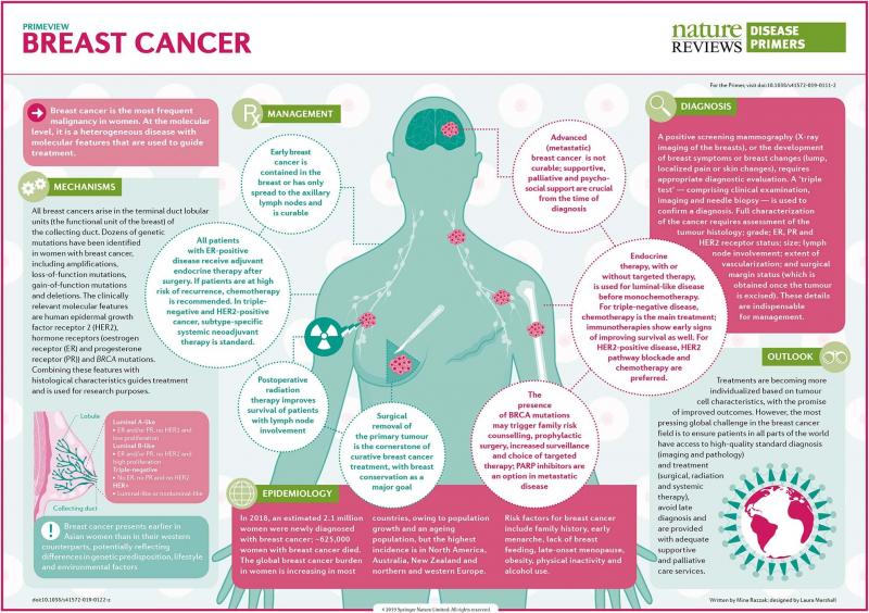 Are You Supporting Breast Cancer Research This Year. : 3 Ways to Get Involved and Make an Impact