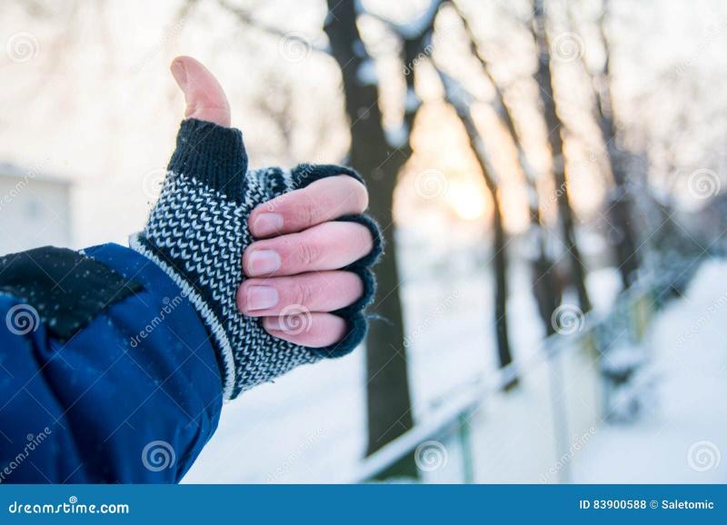 Are Your Hands Freezing This Winter. Find the Best Gloves to Keep Warm