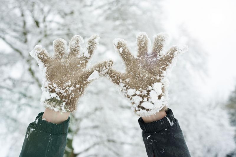 Are Your Hands Freezing This Winter. Find the Best Gloves to Keep Warm