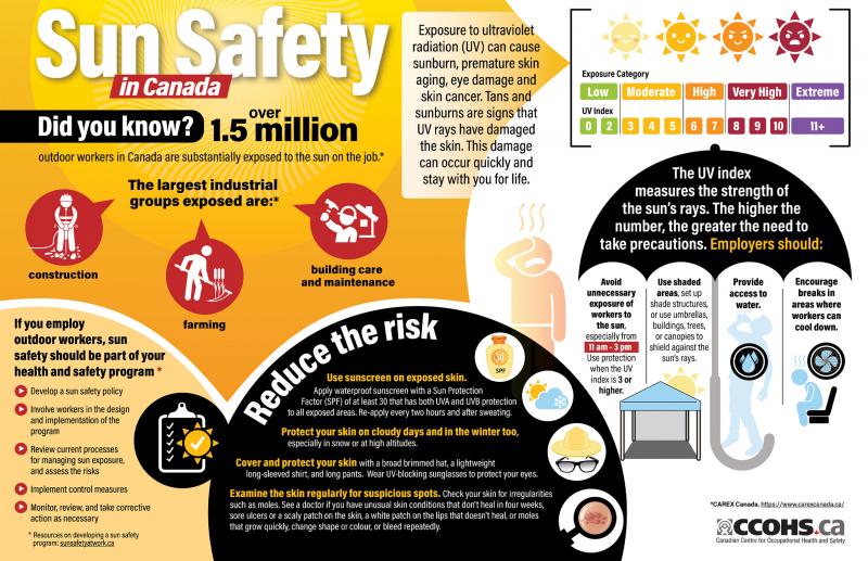 Are Your Softball Games as Safe as They Should Be: 11 Vital Tips to Ensure Complete Softball Safety