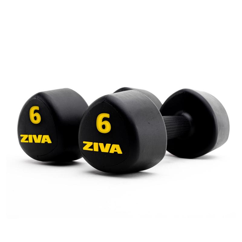 Are Ziva Dumbbells Worth The Hype: Why You Need This Full Set Now