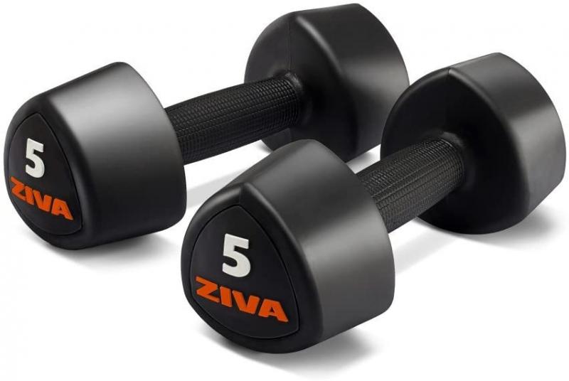 Are Ziva Dumbbells Worth The Hype: Why You Need This Full Set Now