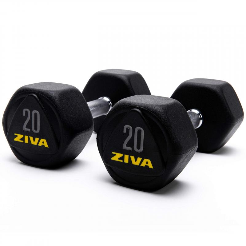 Are Ziva Dumbbells Worth The Hype: Why You Need This Full Set Now