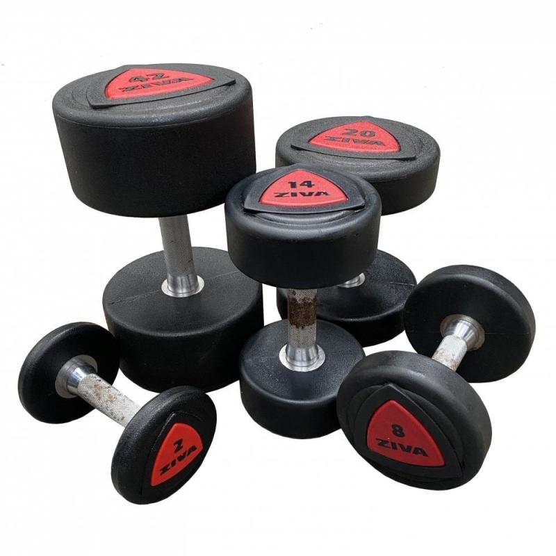Are Ziva Dumbbells Worth The Hype: Why You Need This Full Set Now
