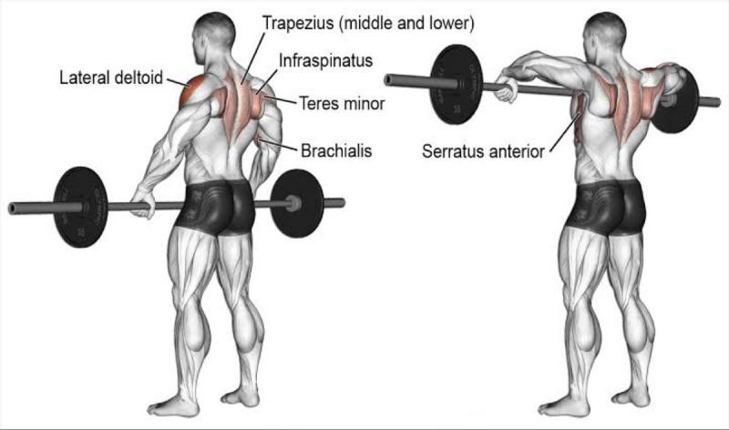 Barbell Buyer