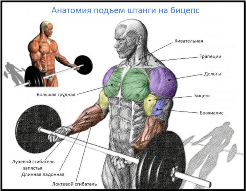 Barbell Buyer