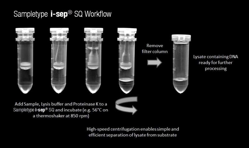 Best Clear Lacrosse Heads in 2023: Uncover the Top DNA and ECD Models for Winning Performance