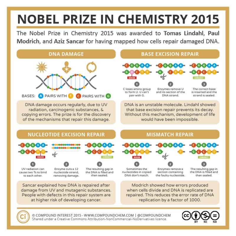 Best Clear Lacrosse Heads in 2023: Uncover the Top DNA and ECD Models for Winning Performance