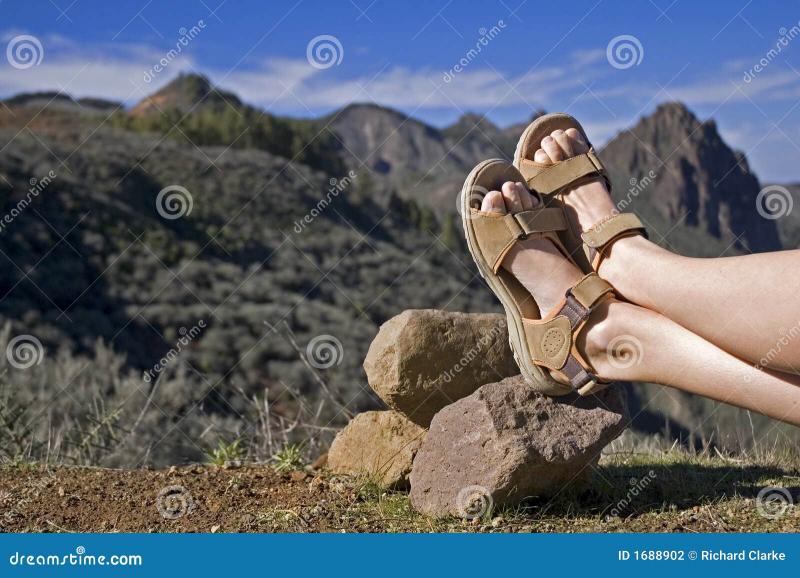 Best Hiking Shoes for Arch Support in 2023:  Top 15 Tips for Finding the Perfect Pair with Good Arch Support