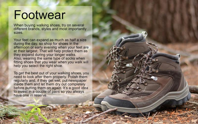 Best Inexpensive Hiking Boots: 15 Low-Cost, Yet High-Quality Options to Consider in 2023