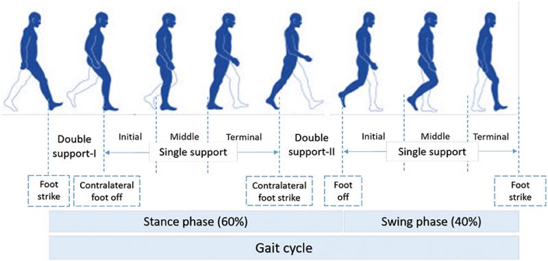 Best Lacrosse Gear for Positioning, Damage and Durability: Why Gait Equipment Stands Out in 2023