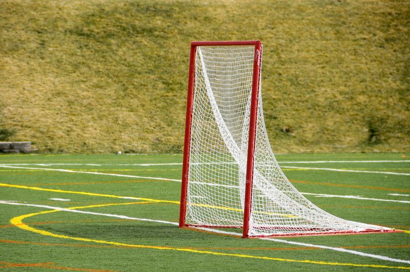 Best Lacrosse Goalie Mesh for Hard Shots and More Control in 2023