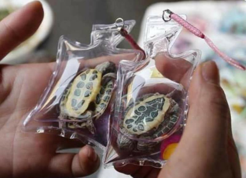 Best Lacrosse Keychains in 2022: Why You Need One of These 15 Awesome Finds