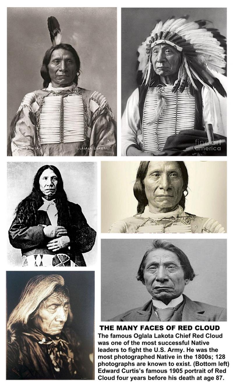 Best Lakota Lax Heads in 2022: Why Should Beginners Choose the Lakota 3