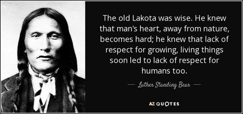 Best Lakota Lax Heads in 2022: Why Should Beginners Choose the Lakota 3