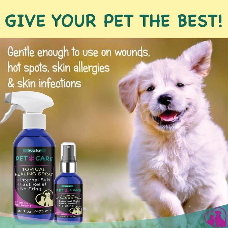 Best Mace Spray for Dogs: 15 Must-Know Facts About Repelling Aggressive Canines