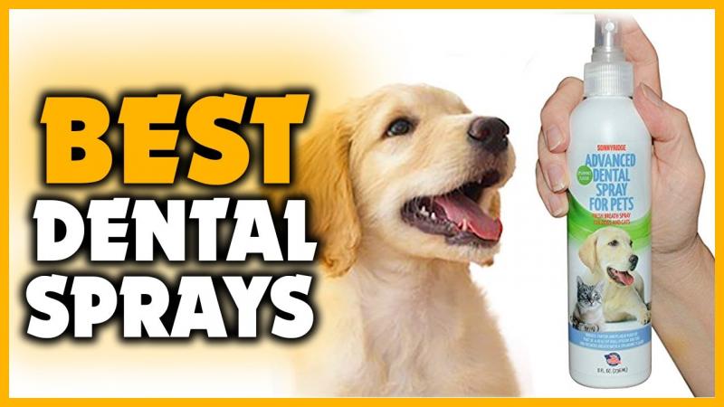 Best Mace Spray for Dogs: 15 Must-Know Facts About Repelling Aggressive Canines