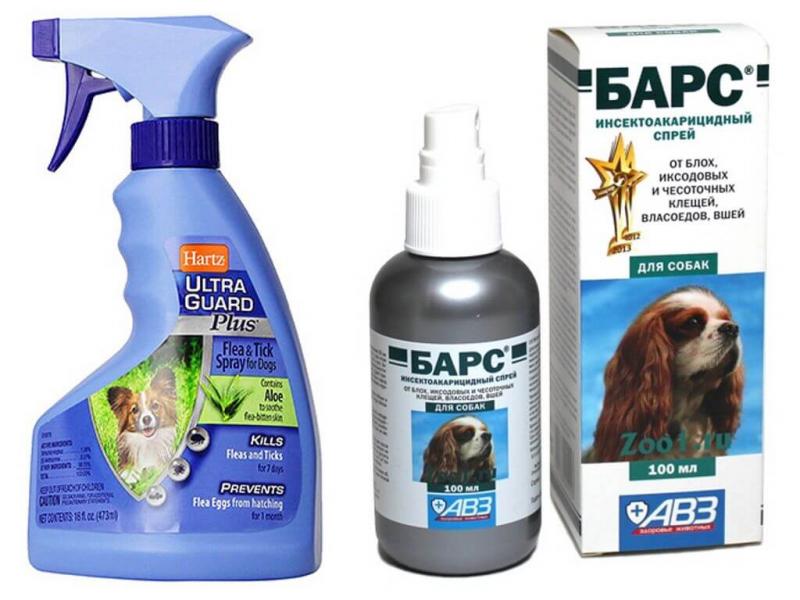Best Mace Spray for Dogs: 15 Must-Know Facts About Repelling Aggressive Canines