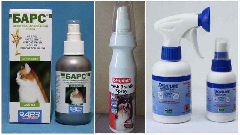 Best Mace Spray for Dogs: 15 Must-Know Facts About Repelling Aggressive Canines