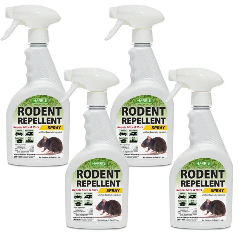 Best Mace Spray for Dogs: 15 Must-Know Facts About Repelling Aggressive Canines