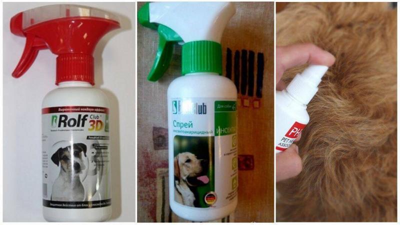 Best Mace Spray for Dogs: 15 Must-Know Facts About Repelling Aggressive Canines