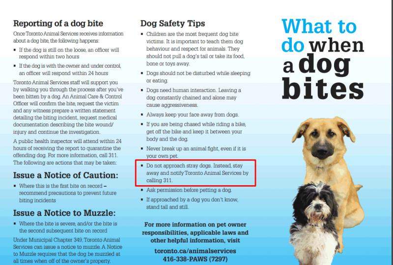 Best Mace Spray for Dogs: 15 Must-Know Facts About Repelling Aggressive Canines