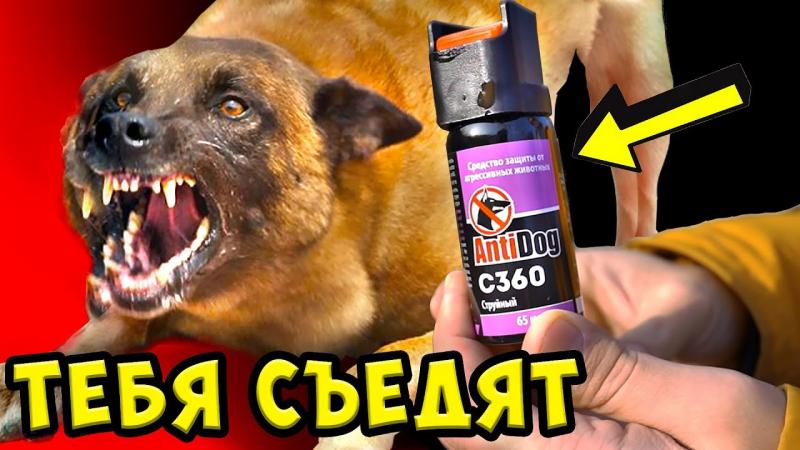 Best Mace Spray for Dogs: 15 Must-Know Facts About Repelling Aggressive Canines