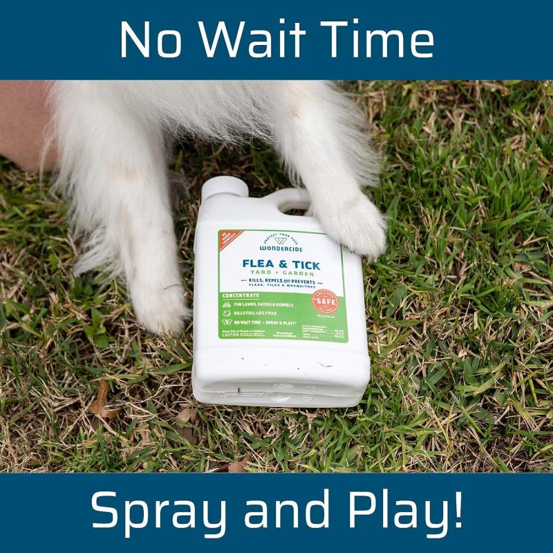 Best Mace Spray for Dogs: 15 Must-Know Facts About Repelling Aggressive Canines