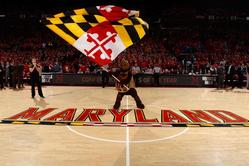 Best Maryland Lacrosse Gear for Terrapins Fans: How to Show Your UMD Pride This Season