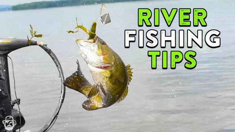 Best River Trout Lures This Year: Captivate Your Senses With These Top Catches